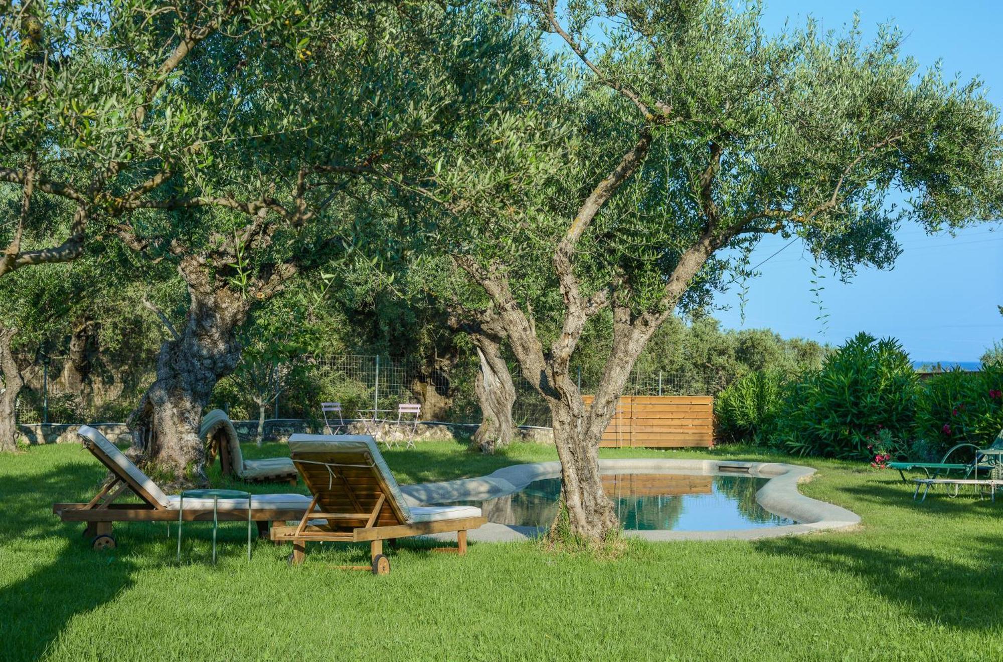 Il Greco Lithakia (Zakynthos)
